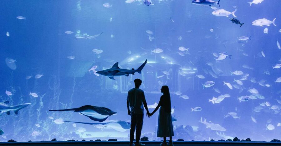 Poema del Mar Skip-the-Line Ticket - Poema del Mar: 35 ecosystems in one walk