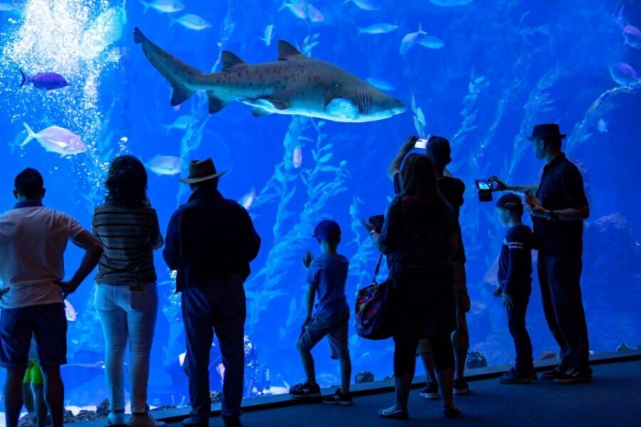 Poema del Mar Skip-the-Line Ticket - La Jungla and the rainforest-style luminous environment
