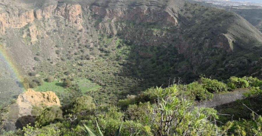 Private Bandama Caldera Volcano, Botanic Garden & Old Town - Up Tafira to Bandama Mountain: the 15-minute photo stop that matters