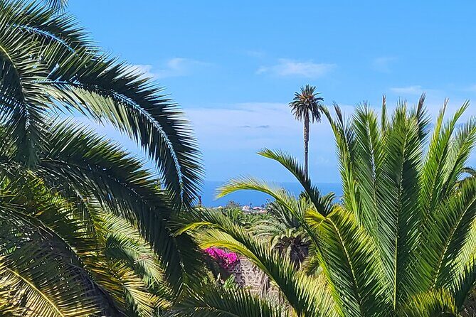 Private Tour from the Port of Las Palmas to Teror Firgas Arucas - Getting practical: comfort, what’s included, and what to plan for