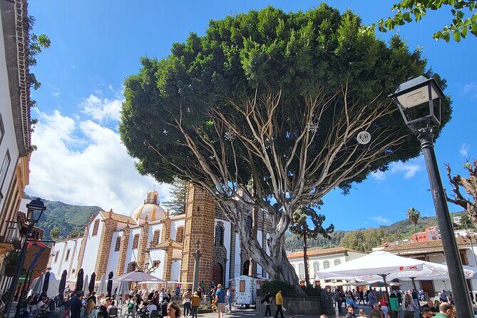 Private Tour from the Port of Las Palmas to Teror Firgas Arucas - Price and value: what $232.71 per person buys you