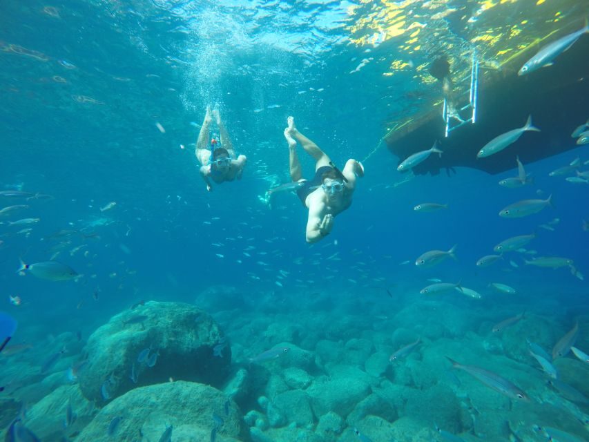 Puerto de Mogan: Boat and Snorkeling Trip - Key things that make Yellow Boat Mogan worth your time
