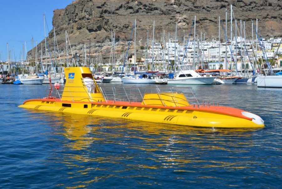 Puerto de Mogán: Submarine Tour - Quick Take: What’s Worth Knowing First