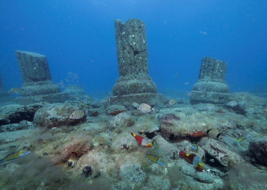 Puerto de Mogán: Submarine Tour - FAQ