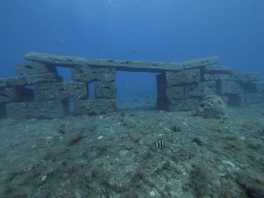 Puerto de Mogán: Submarine Tour - How This Submarine Tour Feels in Real Life (Not Just on Paper)