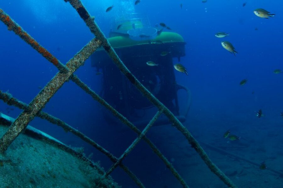 Puerto de Mogán: Submarine Tour - What You’ll See: Wrecks, Underwater Structures, and Marine Life