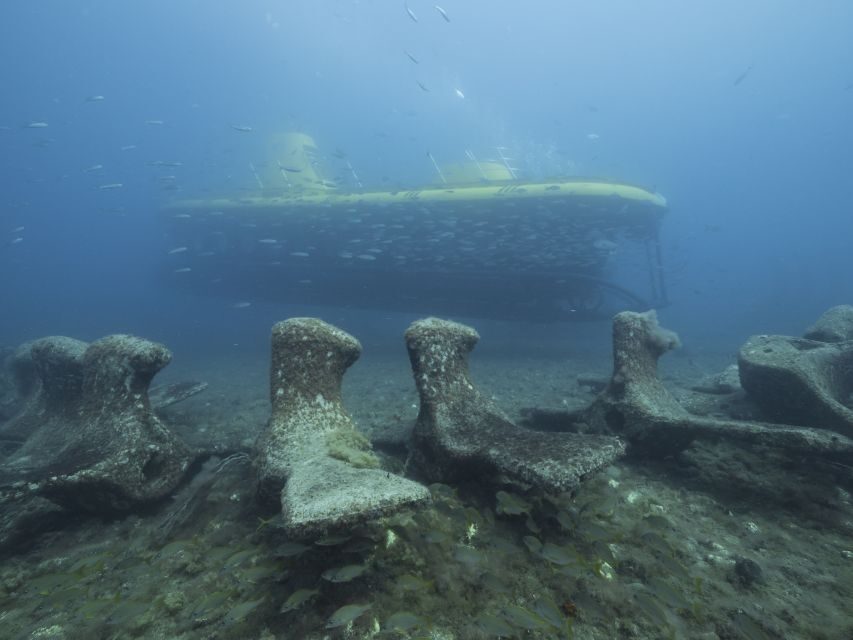 Puerto de Mogán: Submarine Tour - Families vs. First-Timers: Who This Fits Best