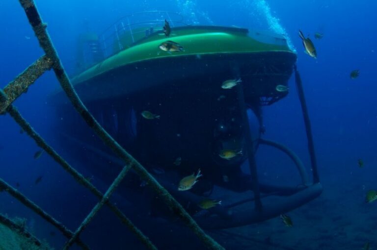 Puerto de Mogán: Submarine Tour - Getting on Board at Dock at Pantalán Dique Sur