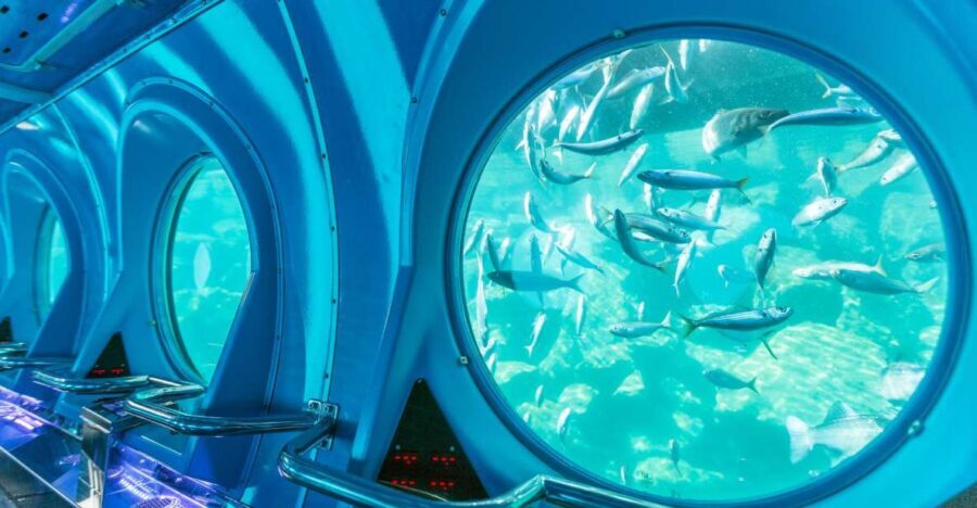 Puerto de Mogán: Submarine Tour - Price and Value: Is $45 Worth a 25-Metre Submarine Ride?