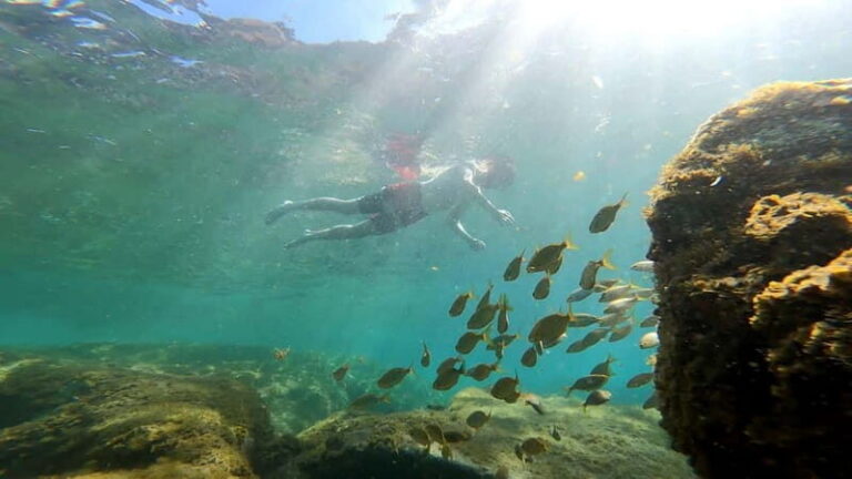 Puerto Mogán: Guided Adventure Kayak Tour in Caves & Snorkel - Meeting at Taurito Beach: where the day really begins