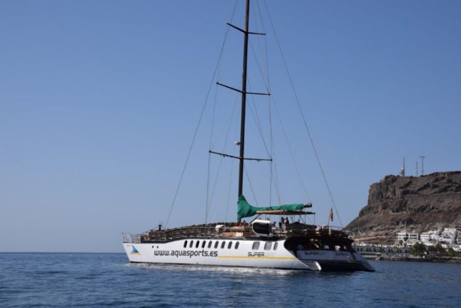 Puerto Rico : 2 hour Dolphin Catamaran Excursion - Key highlights to know before you book