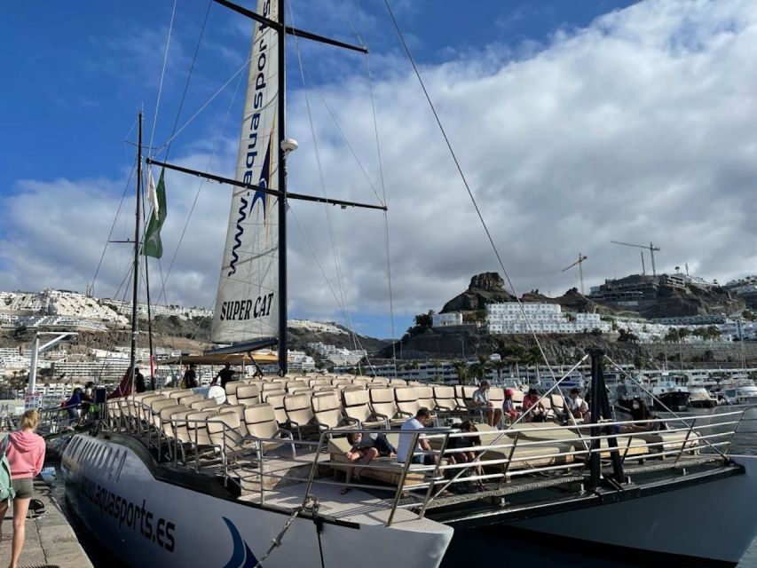 Puerto Rico : 2 hour Dolphin Catamaran Excursion - Who Should Take This Dolphin Catamaran Excursion?