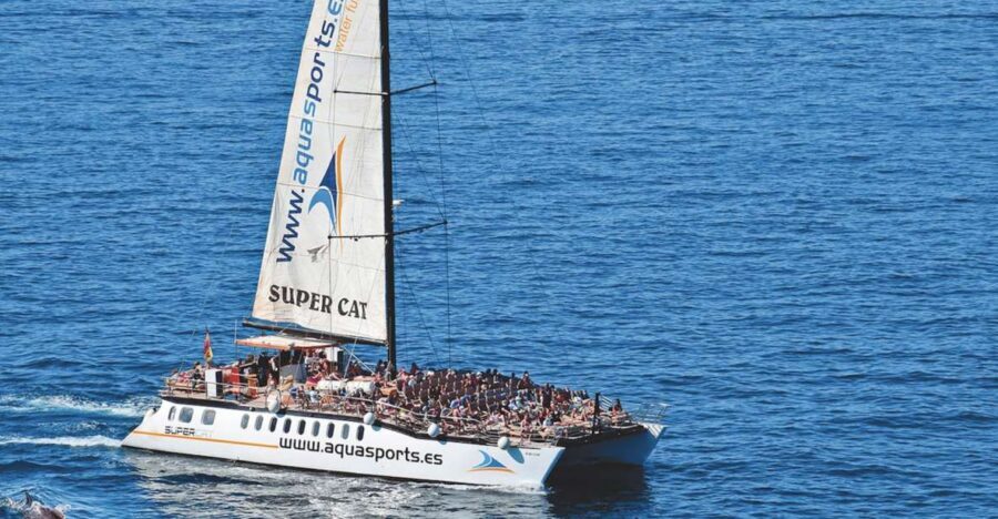 Puerto Rico : 2 hour Dolphin Catamaran Excursion - Two Hours at Sea From Puerto Rico, Gran Canaria