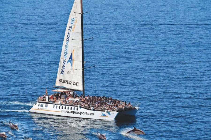 Puerto Rico : 2 hour Dolphin Catamaran Excursion - What Happens After You Board at Puerto Base