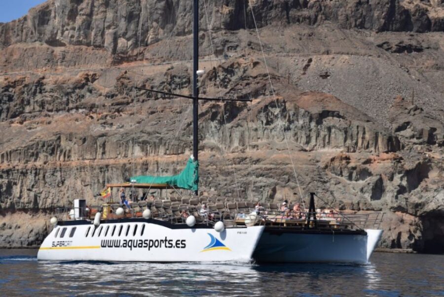 Puerto Rico : 2 hour Dolphin Catamaran Excursion - What You Might See: Dolphins, Turtles, Flying Fish, Whales
