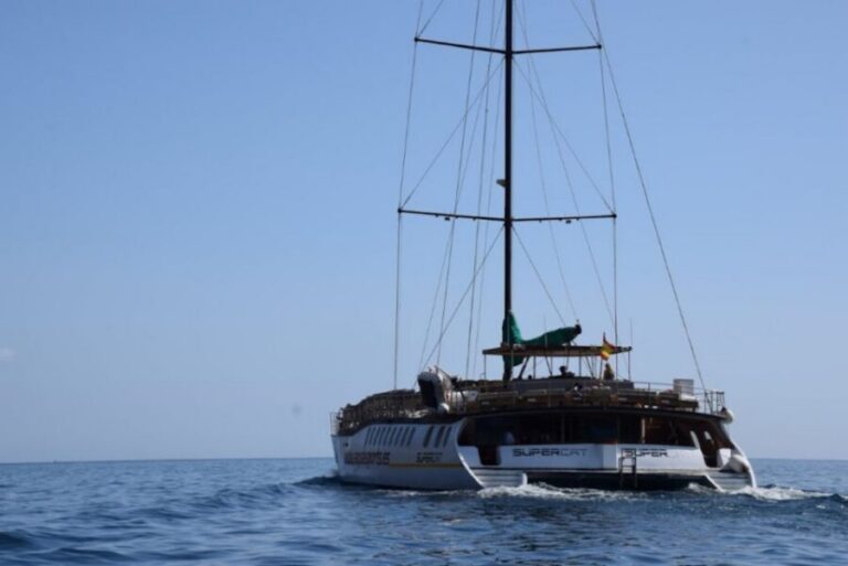 Puerto Rico : 2 hour Dolphin Catamaran Excursion - The South Coast Route and Your Dolphin-Spotting Odds
