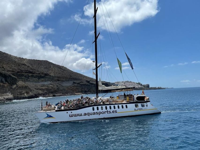 Puerto Rico : 2 hour Dolphin Catamaran Excursion - Price and Value: Is $41 Worth It?