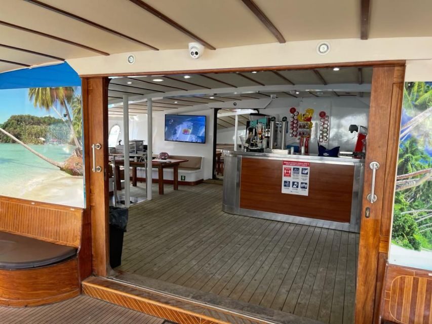 Puerto Rico : 2 hour Dolphin Catamaran Excursion - Logistics That Matter: Pickup Area and What to Bring