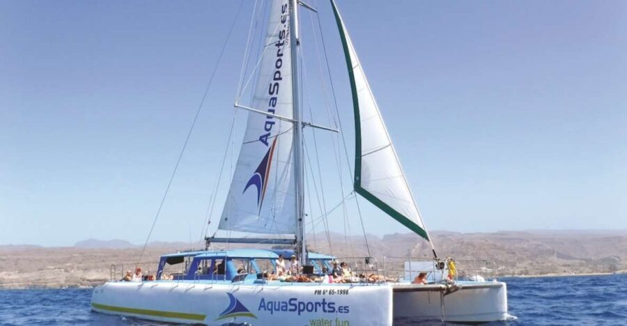 Puerto Rico: 4-Hour Catamaran Excursion in the South - The boat experience: sunbathing, space, and the bar reality