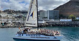 Puerto Rico de Gran Canaria: Premium Dolphin Catamaran Tour - From Puerto Rico Base: Sea Caves, Cliffs, and Unhurried Cruising