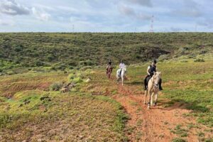 Relaxing Horse Riding Tour in Gran Canaria - Helmet On and Horses Explained: The Friendly First-Timer Setup