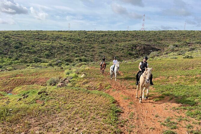 Relaxing Horse Riding Tour in Gran Canaria - Helmet On and Horses Explained: The Friendly First-Timer Setup
