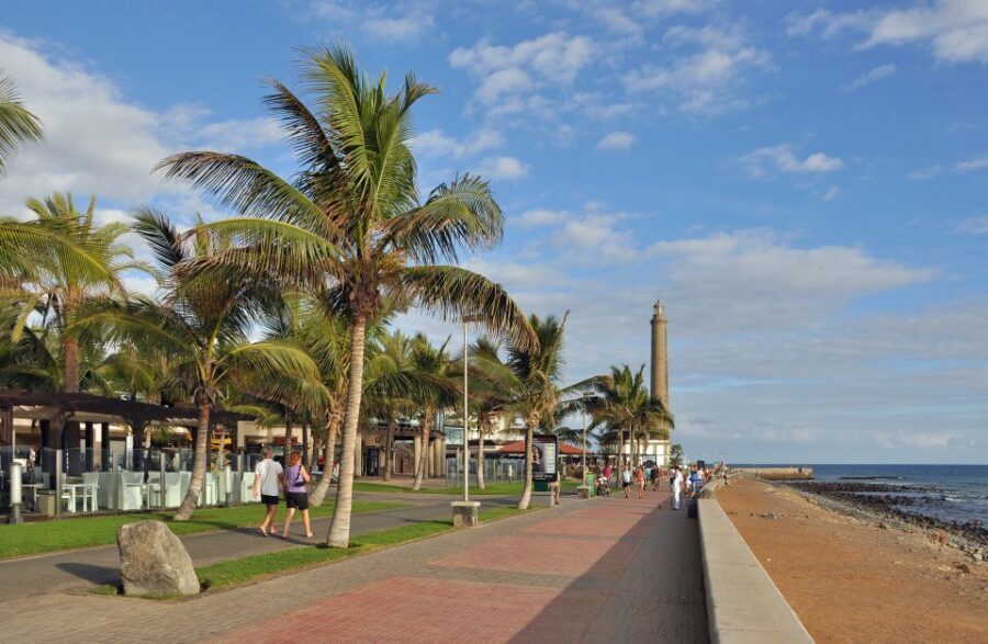 Rent a City Bike 18 gears from 9 hours to 7 days: Maspalomas - Botanical Garden, Oasis Charca, and Bird-Watching Stops