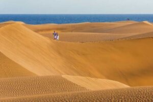Segway Experience 1 hour Sightseeing Tour : Visit Maspalomas Dunes, Playa Ingles - Playa del Inglés: a short break in the south’s most touristic strip