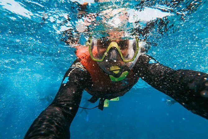 Snorkeling in Gran Canaria with Hotel Pick-up - Amadores Bay or Puerto de Mogán: How They Pick the Spot