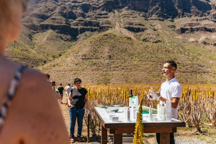South Gran Canaria: Off-Road Valleys & Villages Jeep Tour - Comfort, safety, and what to pack for bumpy roads