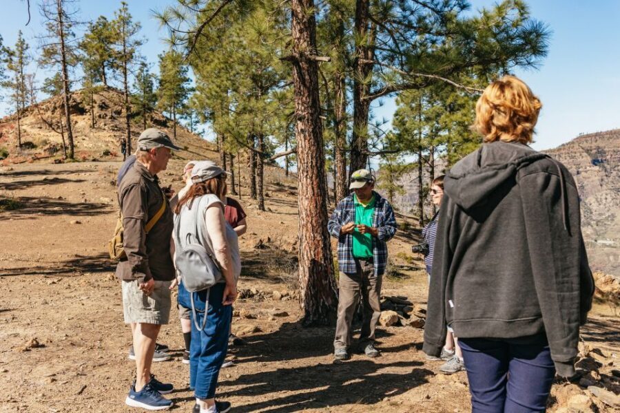 South Gran Canaria: Off-Road Valleys & Villages Jeep Tour - Why this south Gran Canaria jeep route feels different from the coast
