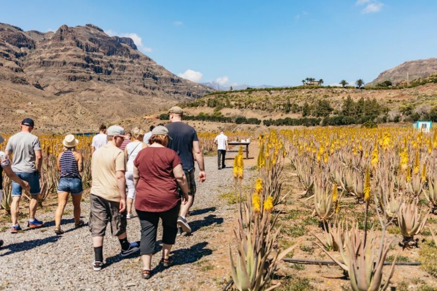 South Gran Canaria: Off-Road Valleys & Villages Jeep Tour - Roque Noblo viewpoints and the drive toward Presa de Chira