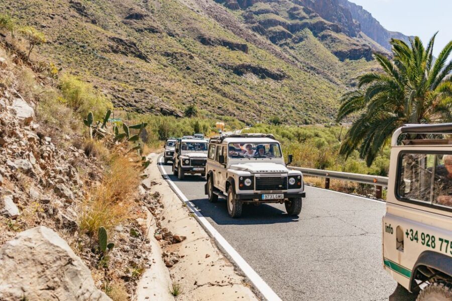 South Gran Canaria: Off-Road Valleys & Villages Jeep Tour - Valley of the Thousand Palms and Fataga: village charm with real views