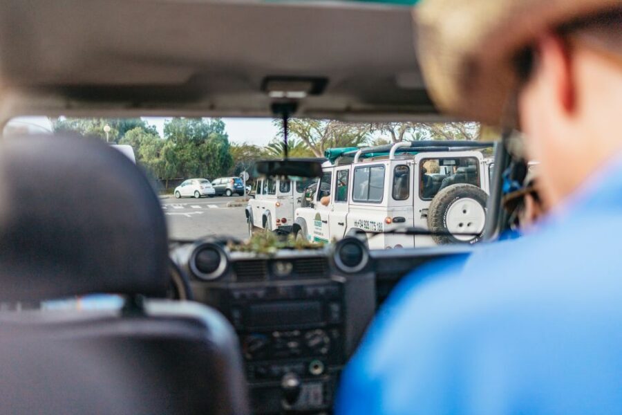 South Gran Canaria: Off-Road Valleys & Villages Jeep Tour - Viewpoints on the way out: Degollada de las Yeguas and Mirador Las Moscas