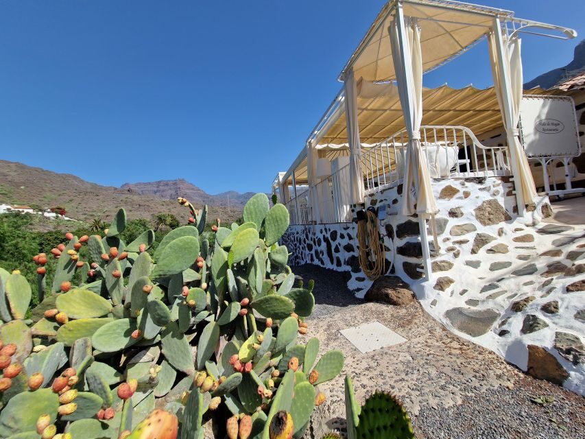 Spanish Cured Meats & Wine Tasting Tour in Mogan - Price and Value: Is $65 Worth It?