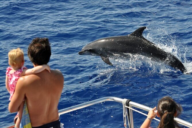 Spirit of the Sea: Cetacean sighting in Gran Canaria - The 2.5-Hour Hunt: What Happens Once You Leave the Harbor