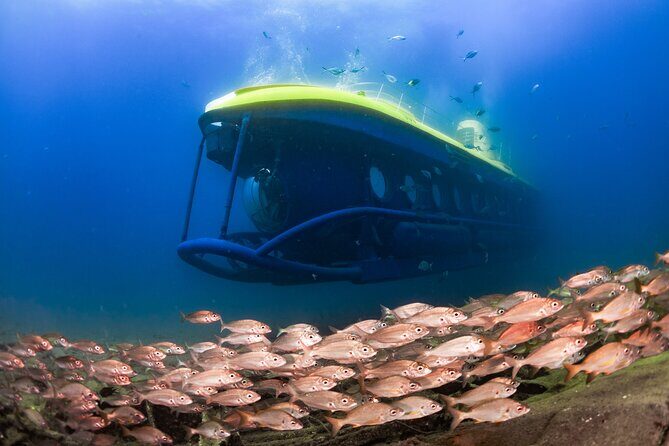 SUBMARINE ADVENTURE - Submarine Excursion in Puerto de Mogán - Key highlights you’ll feel right away