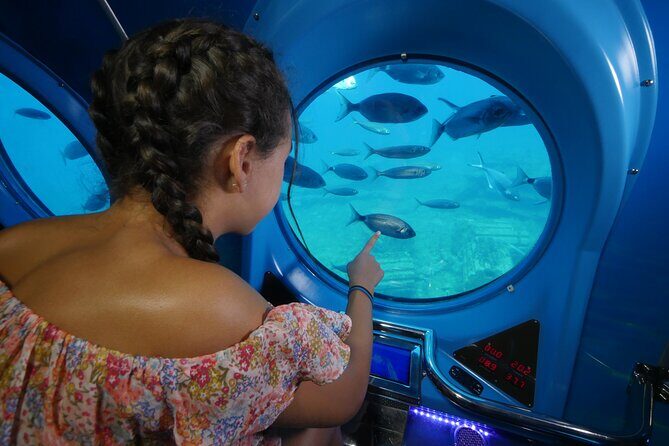 SUBMARINE ADVENTURE - Submarine Excursion in Puerto de Mogán - La Atlántida reef park: what you’re actually supporting