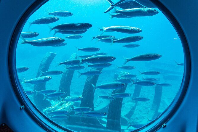 SUBMARINE ADVENTURE - Submarine Excursion in Puerto de Mogán - Weather and cancellations: how to protect your schedule