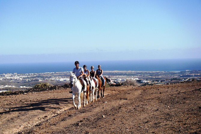 The Best Horse Riding Experience in Gran Canaria (2 hours) - Key Points at a Glance