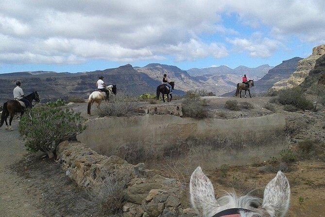 The Best Horse Riding Experience in Gran Canaria (2 hours) - Gran Canaria on a horse: El Salobre, Maspalomas views, and why this works