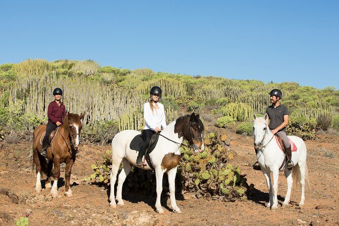 The Best Horse Riding Experience in Gran Canaria (2 hours) - Horses and comfort: how to read the day and advocate for yourself