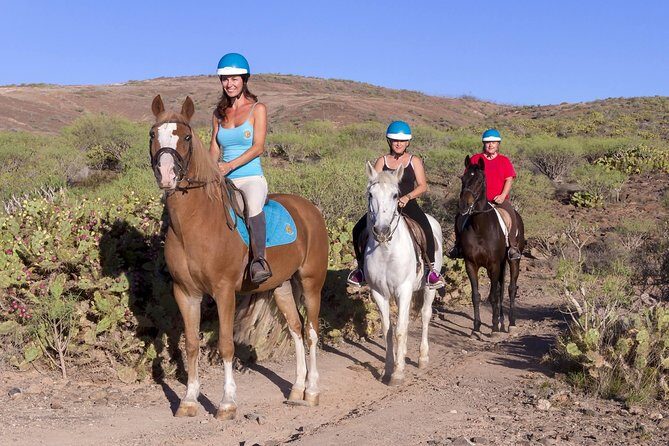 The Best Horse Riding Experience in Gran Canaria (2 hours) - Your time in the hills: how the ride adapts to your level