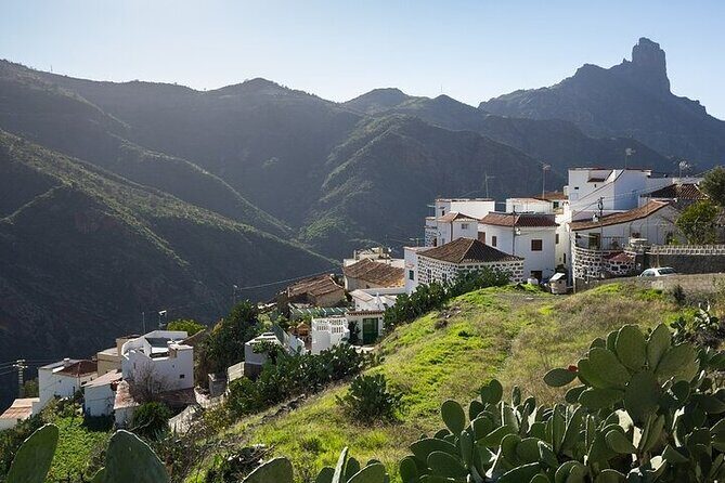 Tour to Guayadeque, Firgas, Fataga - VIP - Tejeda, Tunte, and Fataga: why the mountain villages are more than scenic filler