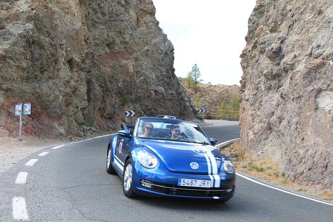 Vw Beetle Convertible Island tour Discover the island on a different way - Stop 1: San Bartolomé de Tirajana and the aloe-growing belt