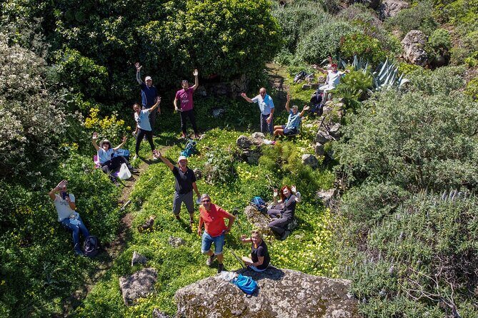 Wanderungen im grünen Gran Canaria - Seasonal Flower Hikes on Gran Canaria: January to May
