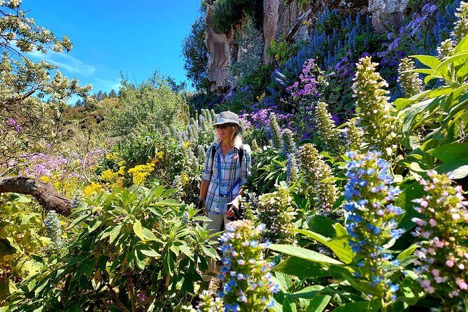 Wanderungen im grünen Gran Canaria - Sofie Leads Small Groups Through Nature and Culture