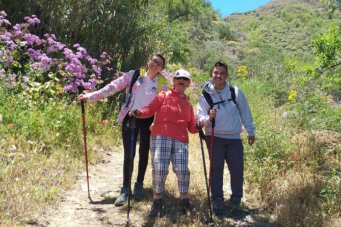 Wanderungen im grünen Gran Canaria - Weather, Rain, and the Island Mood: Plan With Flexibility