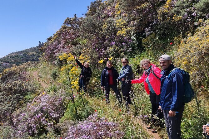 Wanderungen im grünen Gran Canaria - Getting There and Staying Comfortable: Pickup, Pace, Group Size