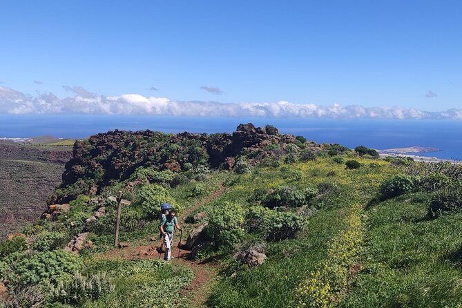 Wanderungen im grünen Gran Canaria - The Wildflower Lineup: What You Might See On the Slope